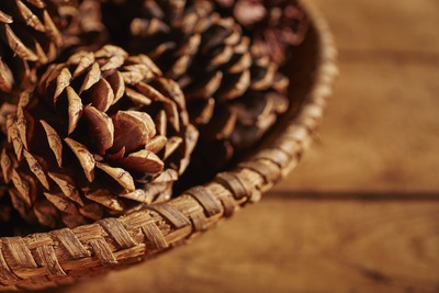 7 Tips for Budget-Friendly Fall Decor