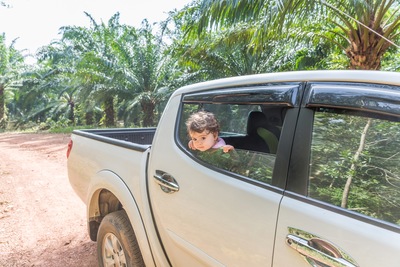 Discover the Ease and Benefits of Auto Pawn